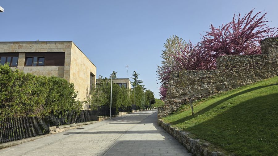 primavera